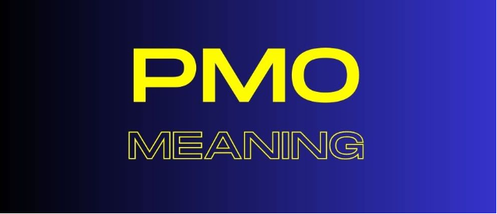 pmo meaning in text