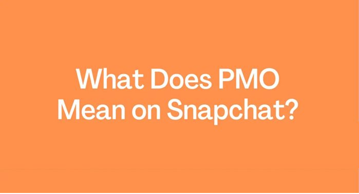 Pmo Meaning text: What Does How This Acronym Stand For