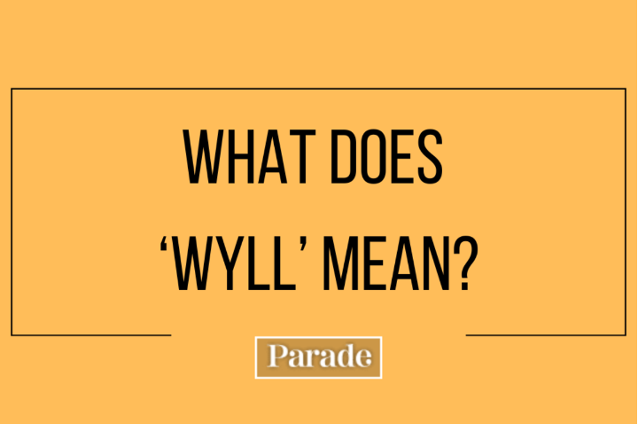 What Does Wyll Mean Everything You Need to Know 2024