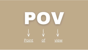 pov meaning