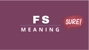 fs meaning text