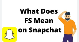 what does fs stand for