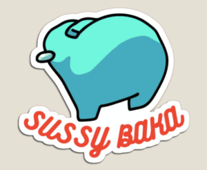 Sussy Baka mean