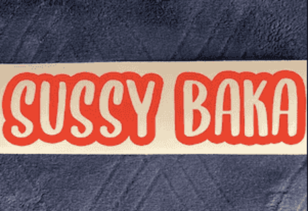 sussy baka meaning