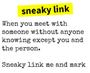 Sneaky Link