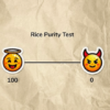 rice purity test meaning