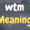 wtm meaning in text