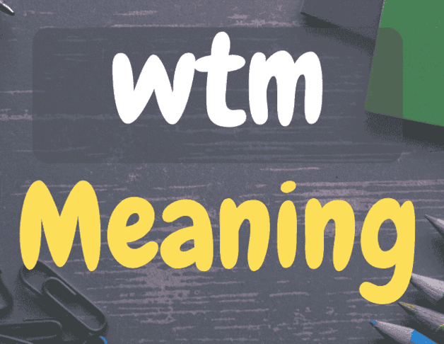 WTM Meaning in Text – What Does WTM Mean? (2024)