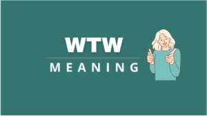 WTW Meaning in Text